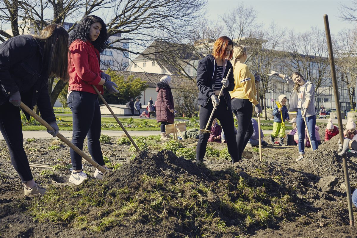 Im Kulturhauspark Dornbirn entsteht die Essbare Stadt.