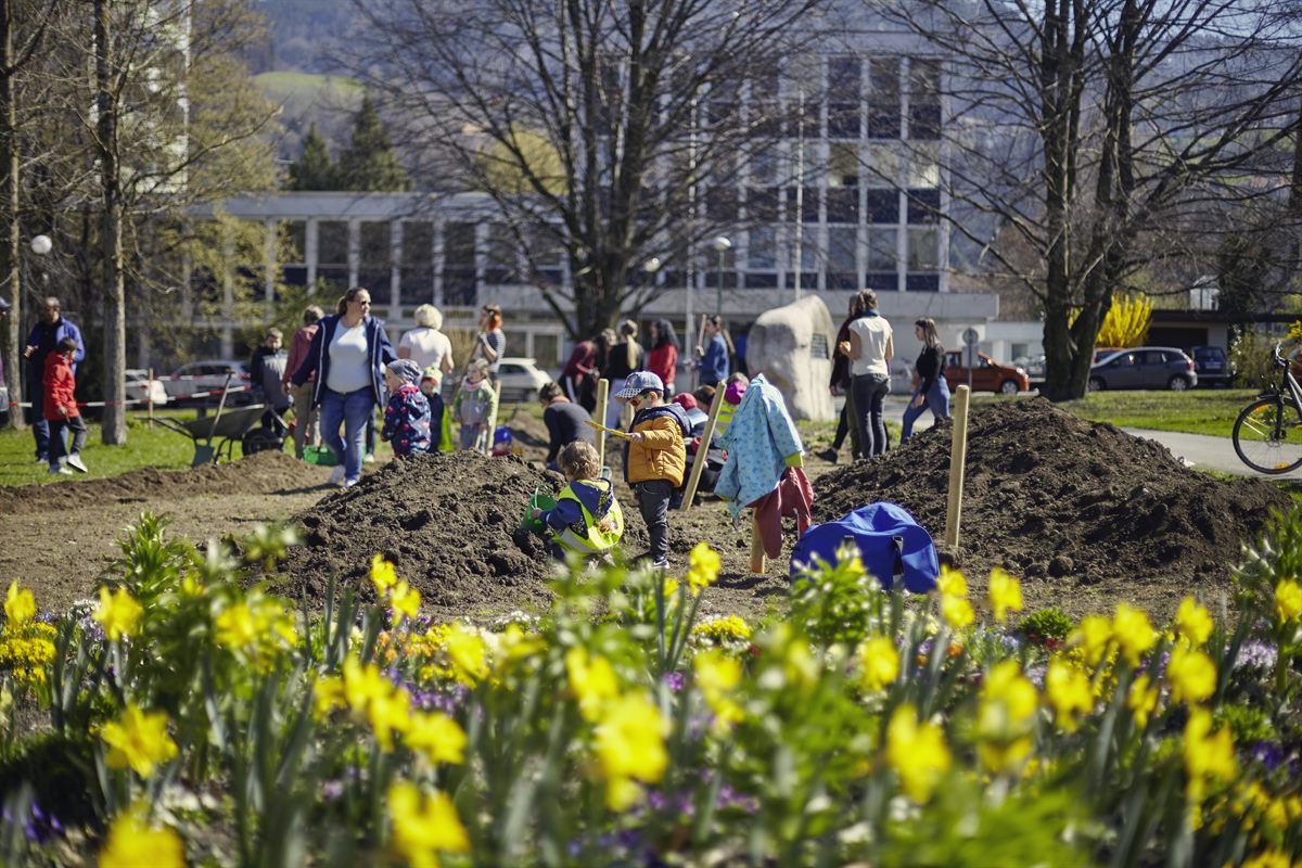 Viele freiwillige Helfer unterstützten das Projektteam Essbare Stadt Dornbirn rund um Thomas Mathis.
