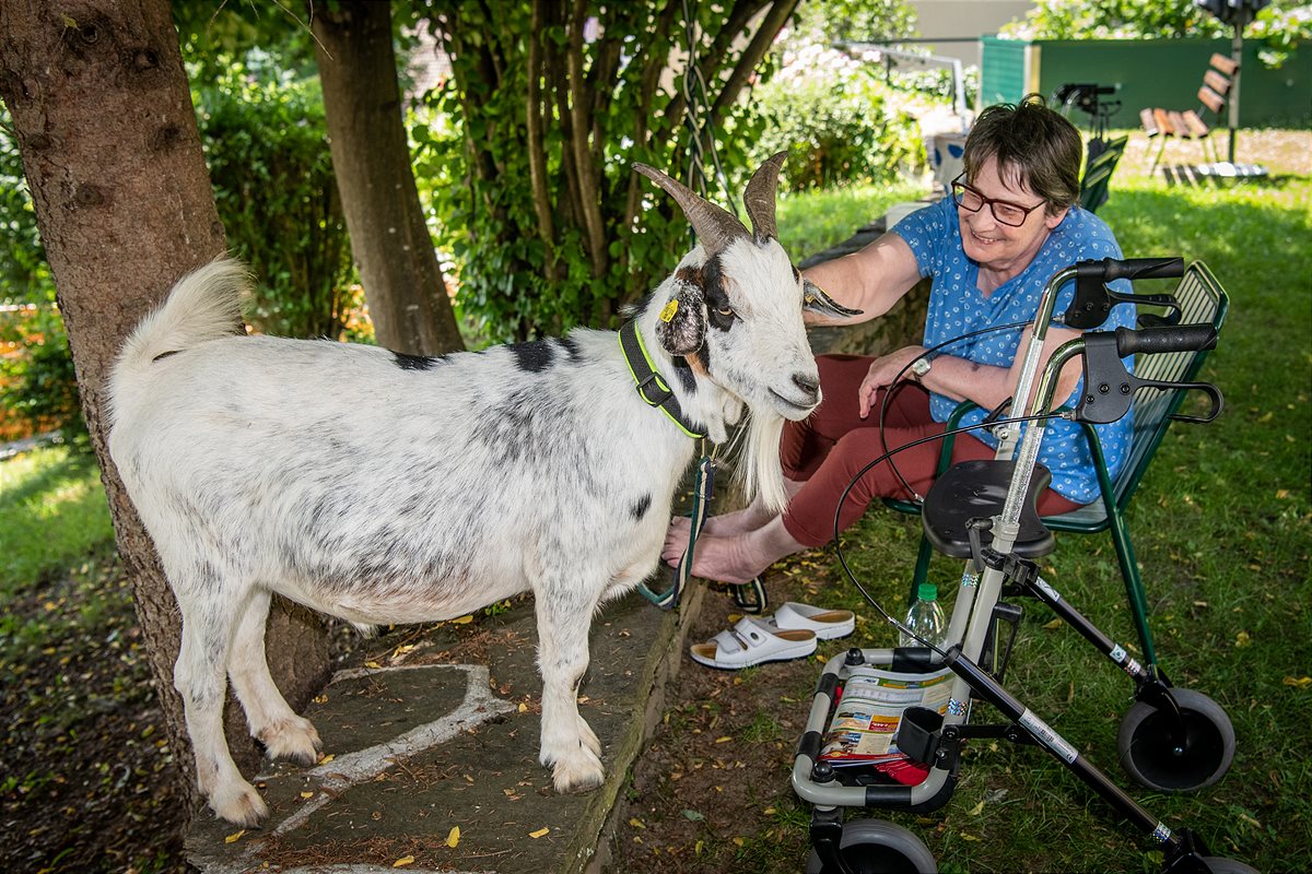 Tiertherapie für Senioren